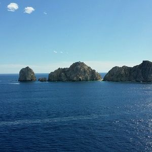 Meet your Posher, Bertha a